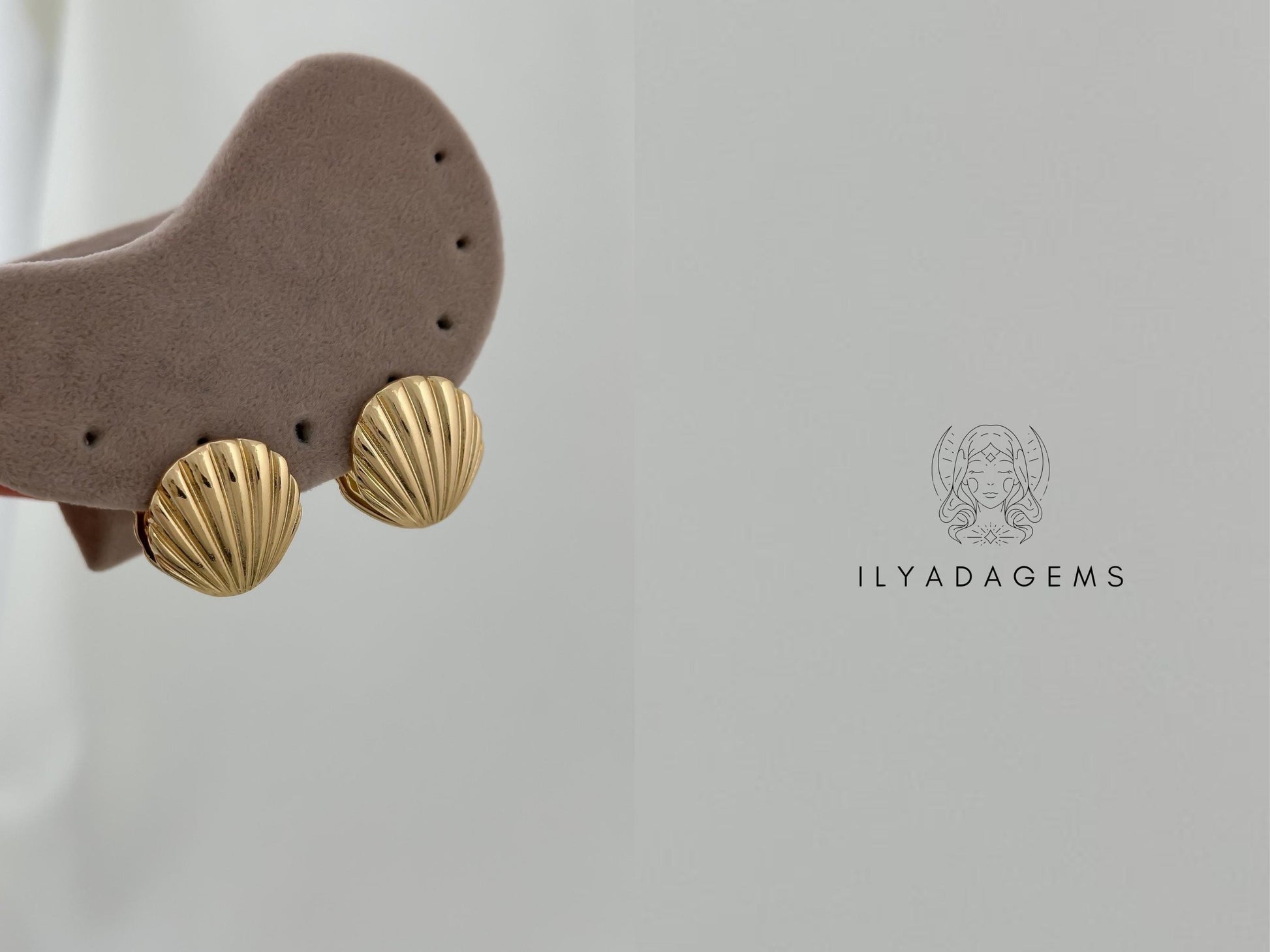 Sea Shell Stud Earrings