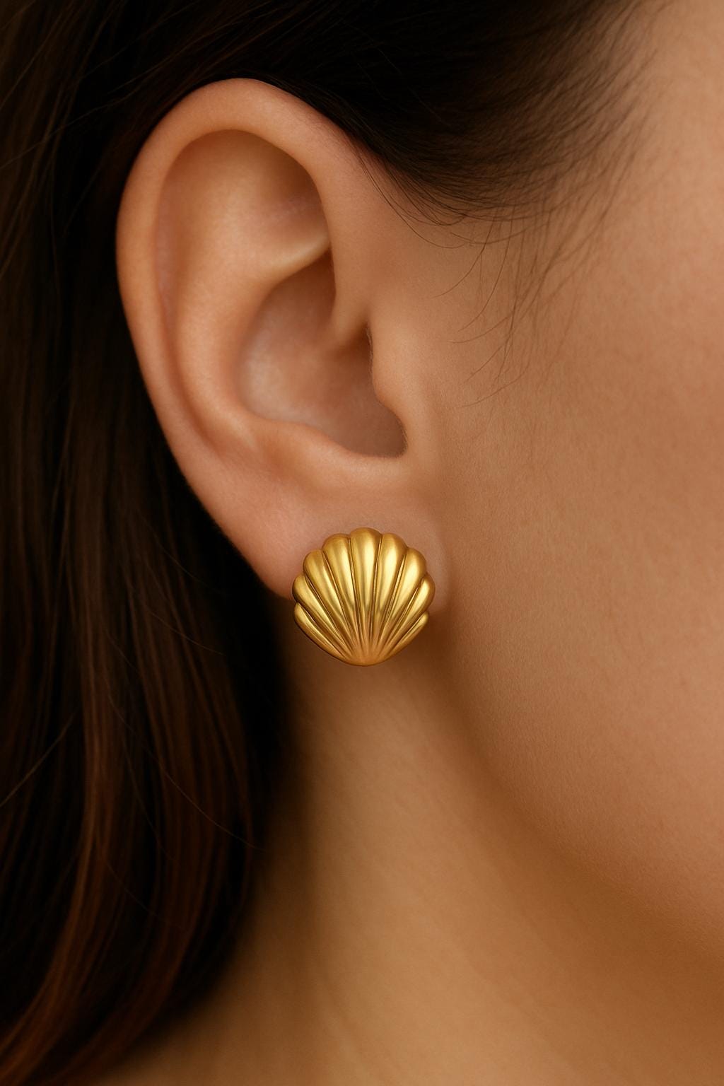 Sea Shell Stud Earrings