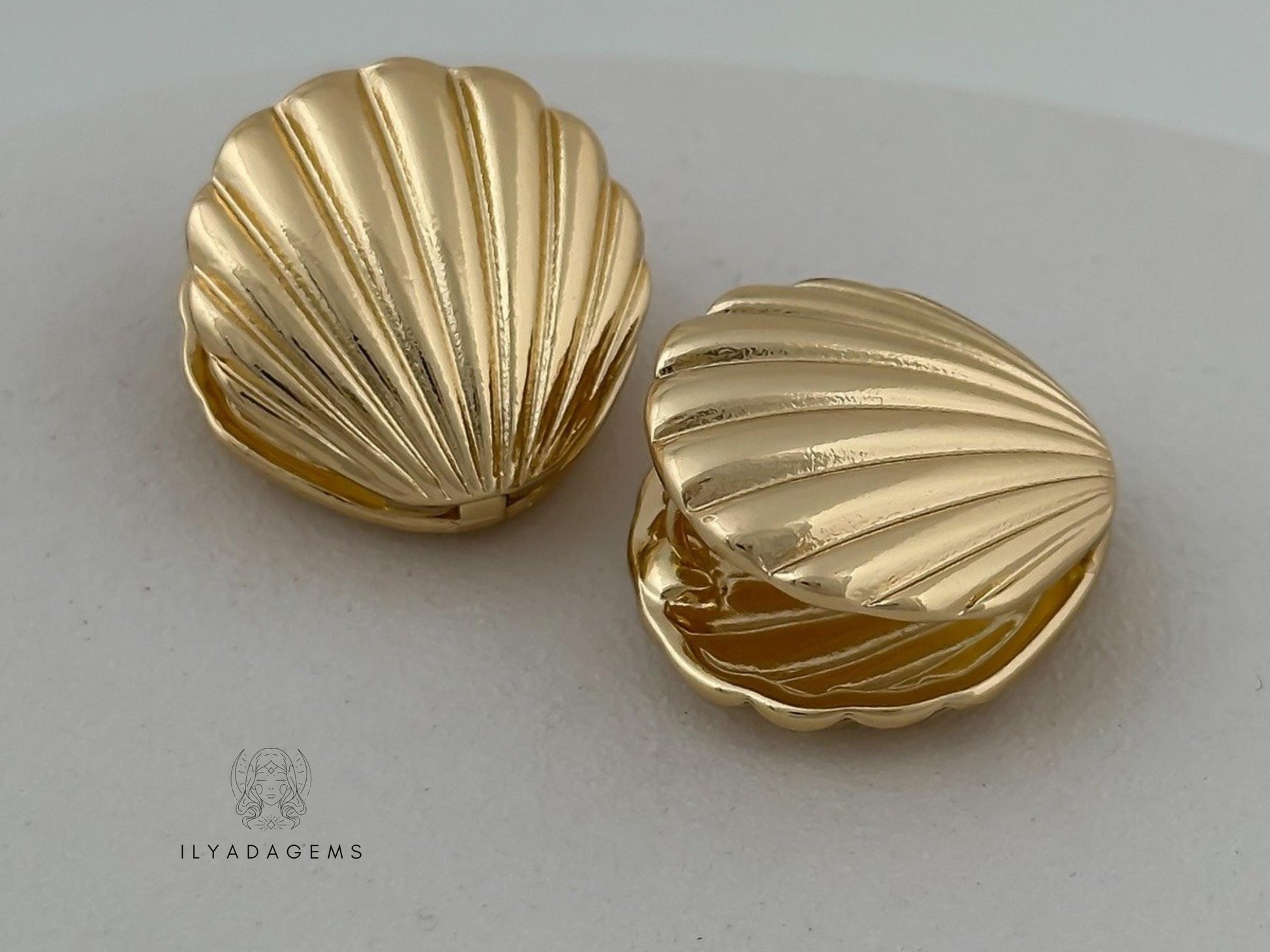Sea Shell Stud Earrings